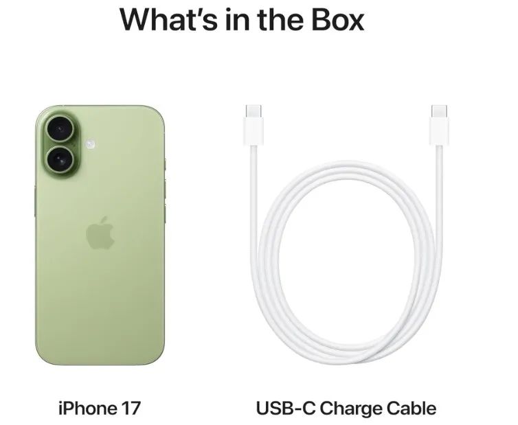 Apple iPhone 17 256 GB: 6.3-inch Display with ProMotion, A19 Chip, Center Stage Front Camera for Smarter Group Selfies, Improved Scratch Resistance, All-Day Battery Life; Sage- TDRA Version 4