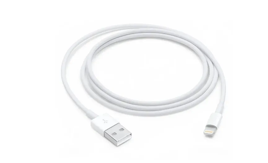 Apple Lightning to USB Cable (1 m) 