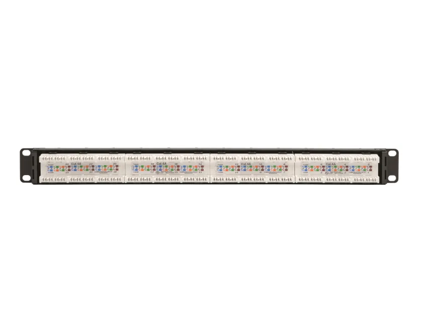 Tripp Lite N252-024-6A 24-Port 1U Rack-Mount Cat6a/Cat6/Cat5e Patch Panel – 110 Punch Down – 10GbE