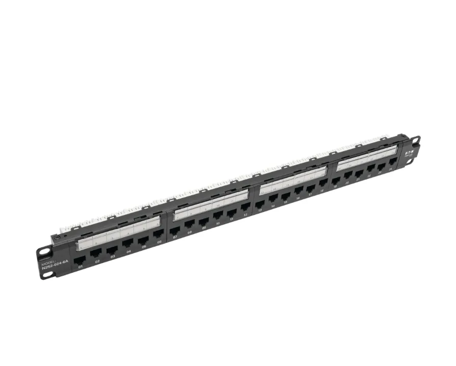 Tripp Lite N252-024-6A 24-Port 1U Rack-Mount Cat6a/Cat6/Cat5e Patch Panel – 110 Punch Down – 10GbE