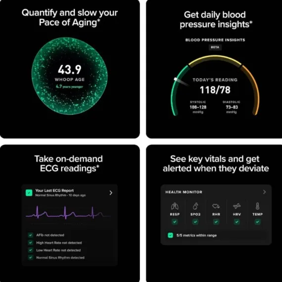 WHOOP 5.0/MG (LIFE)Activity Tracker - 12 Month Membership - Health and Fitness Wearable – 24/7 Activity and Sleep Tracker, Personalized Coaching, Menstrual Cycle Insights – 14+ Days Battery Life| 973-002-000 (TDRA Version)