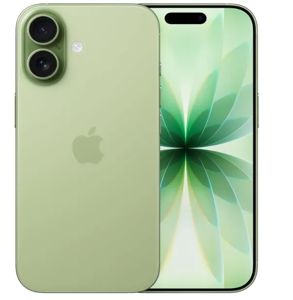 Apple iPhone 17 256 GB: 6.3-inch Display with ProMotion, A19 Chip, Center Stage Front Camera for Smarter Group Selfies, Improved Scratch Resistance, All-Day Battery Life; Sage- TDRA Version