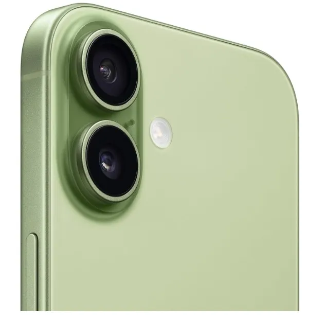 Apple iPhone 17 256 GB: 6.3-inch Display with ProMotion, A19 Chip, Center Stage Front Camera for Smarter Group Selfies, Improved Scratch Resistance, All-Day Battery Life; Sage- TDRA Version