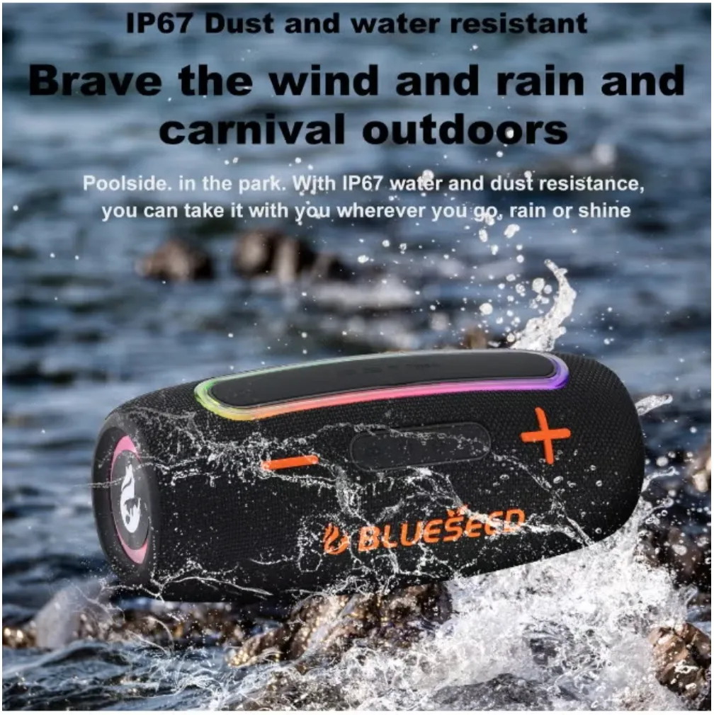 BLUESEED BS312-GY Portable Bluetooth Speaker with Bluetooth 5.3, Dual RGB LED Panels, 3000mAh Battery and 10m Wireless Range – Grey 3