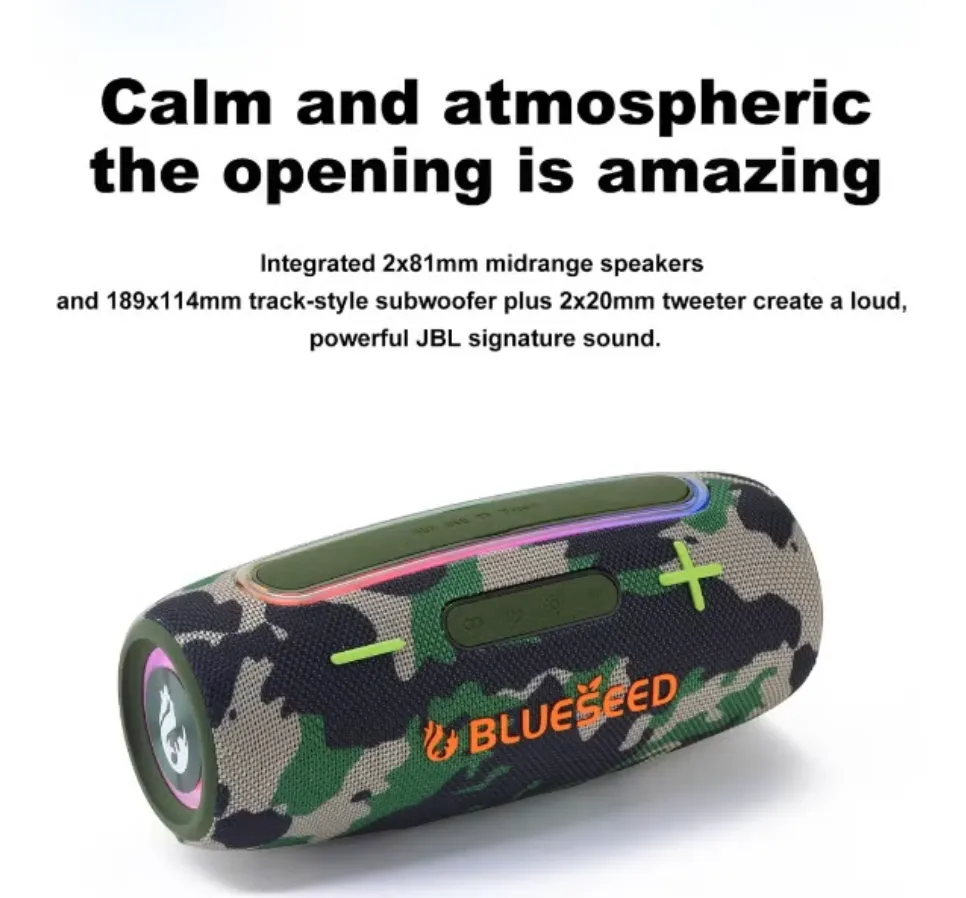 BLUESEED BS312-GY Portable Bluetooth Speaker with Bluetooth 5.3, Dual RGB LED Panels, 3000mAh Battery and 10m Wireless Range – Grey 4