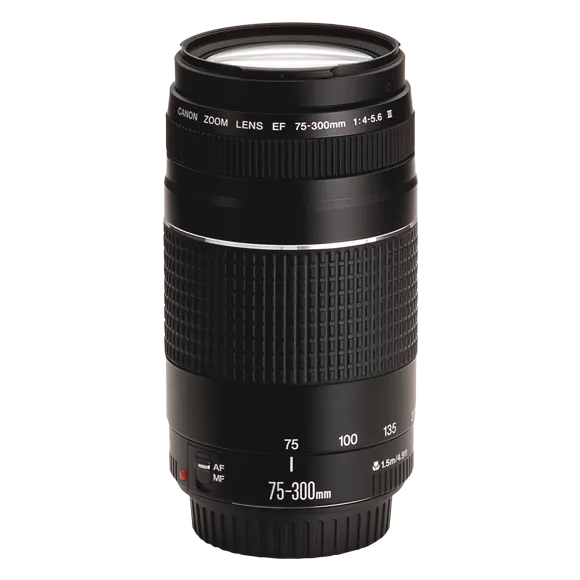 Canon EF 75-300mm f/4-5.6 III Telephoto Zoom Lens for Canon DSLR Cameras (Black)
