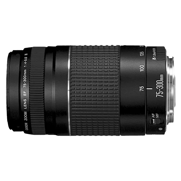 Canon EF 75-300mm f/4-5.6 III Telephoto Zoom Lens for Canon DSLR Cameras (Black)
