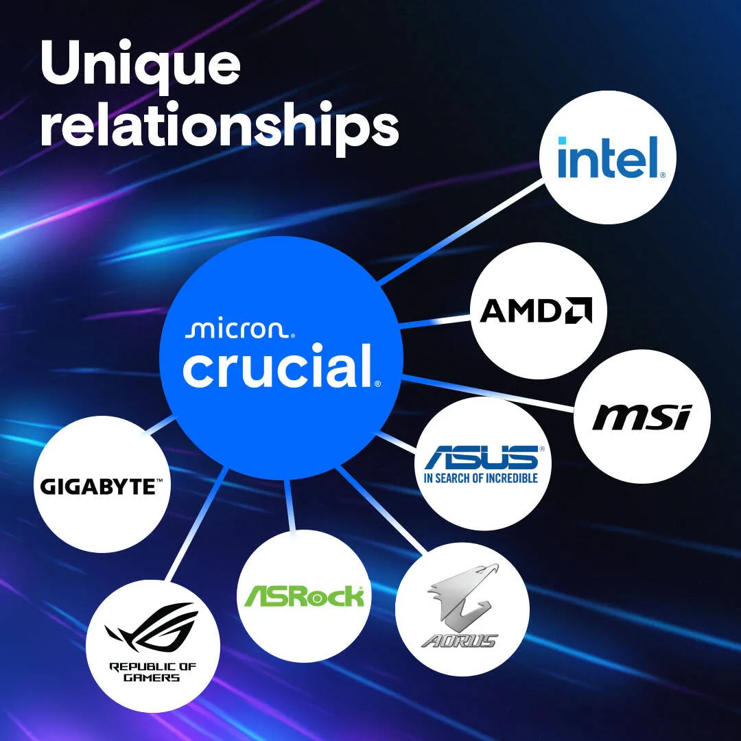 Crucial Pro 64GB DDR5-5600 UDIMM Desktop Memory, 5600 MHz Memory Speed, CL46 CAS Latency, 1.1 Voltage, Intel XMP 3.0 & AMD EXPO Profile | CP64G56C46U5 3
