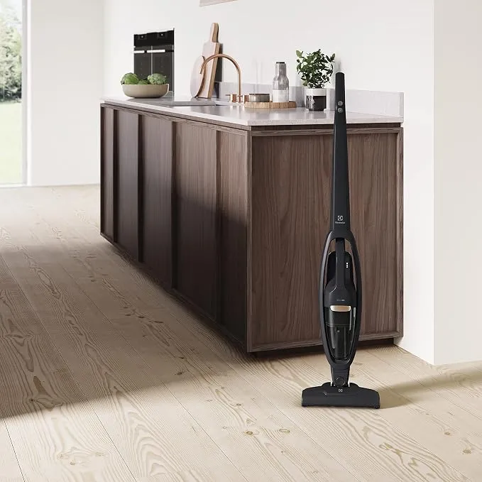 Electrolux Well Q6 Cordless Handstick Vacuum Cleaner, 18V, Bagless Cyclonic System, 5-Step Filtration, BrushRollClean Technology, Grey – WQ61-1OGG 3