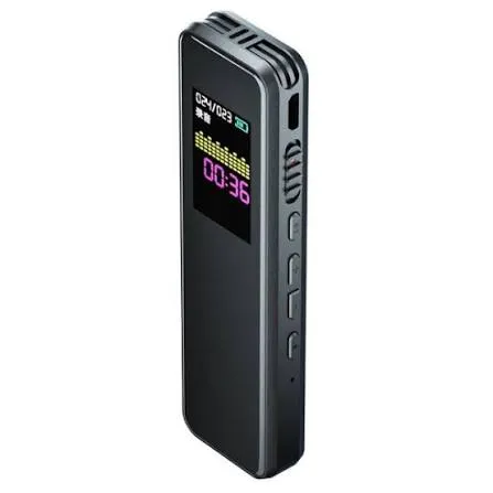 HP 64GB Digital Voice Recorder with Built-in Microphone, Noise Reduction, Rechargeable Battery, LCD Display, Voice Recording and MP3 Playback