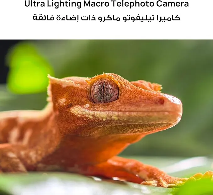 HUAWEI Pura 80 Pro Smartphone 12GB+512GB, 1-inch Ultra Lighting Camera, Ultra Lighting Macro Telephoto Camera, Large Battery, Dual SuperCharge, Glazed Red (TDRA Version) 4